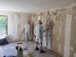 Best Asbestos and Lead Testing During Mold Inspection in USA